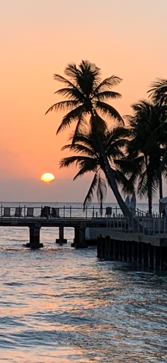 Four Marlins Sunset